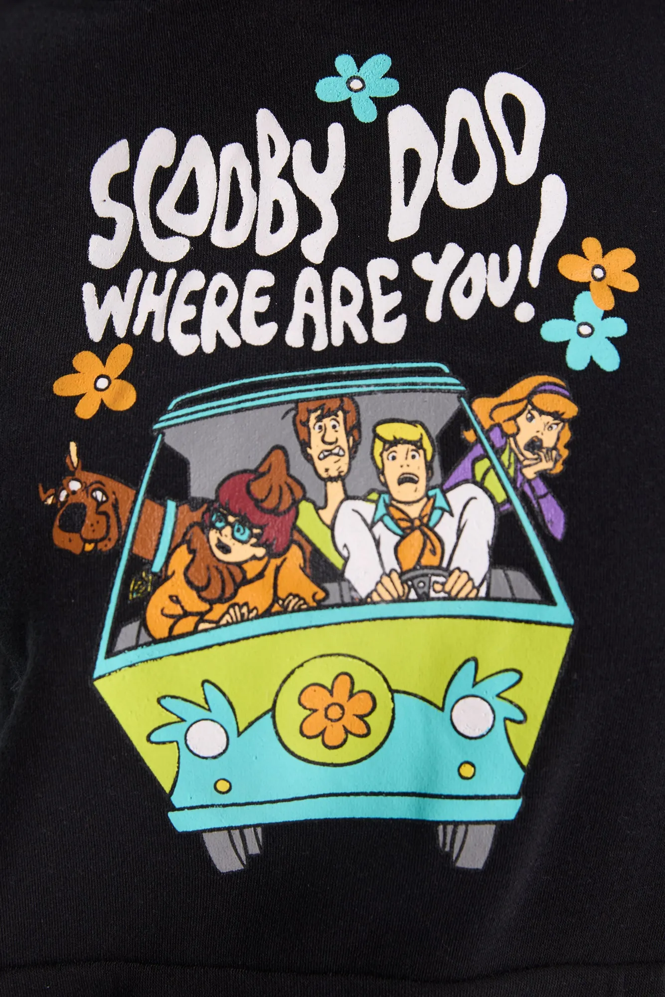 Scooby-Doo Graphic Hoodie